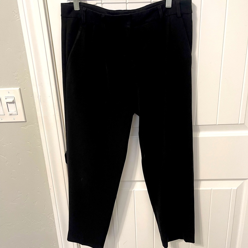 Express tapered leg pants